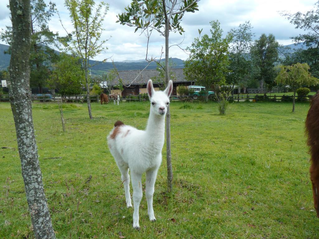 Hacienda Hosteria San Luis Cayambe Exteriör bild