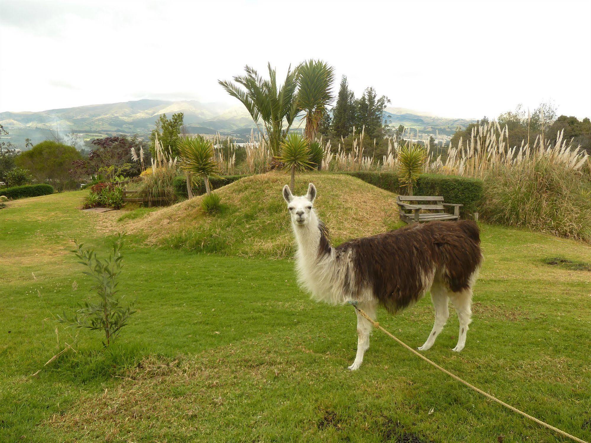 Hacienda Hosteria San Luis Cayambe Exteriör bild